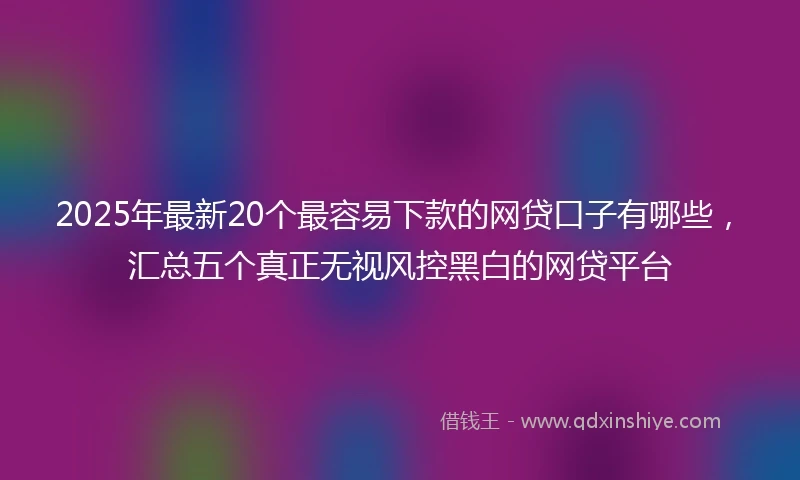 2025年最新20个最容易下款的网贷口子有哪些，汇总五个真正无视风控黑白的网贷平台