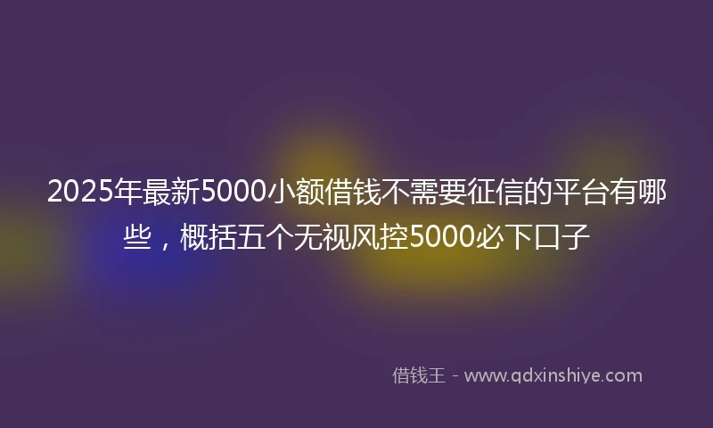2025年最新5000小额借钱不需要征信的平台有哪些，概括五个无视风控5000必下口子