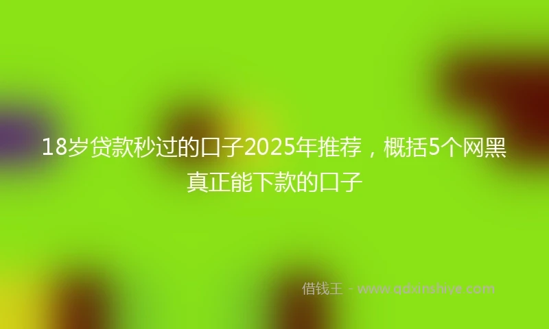18岁贷款秒过的口子2025年推荐，概括5个网黑真正能下款的口子