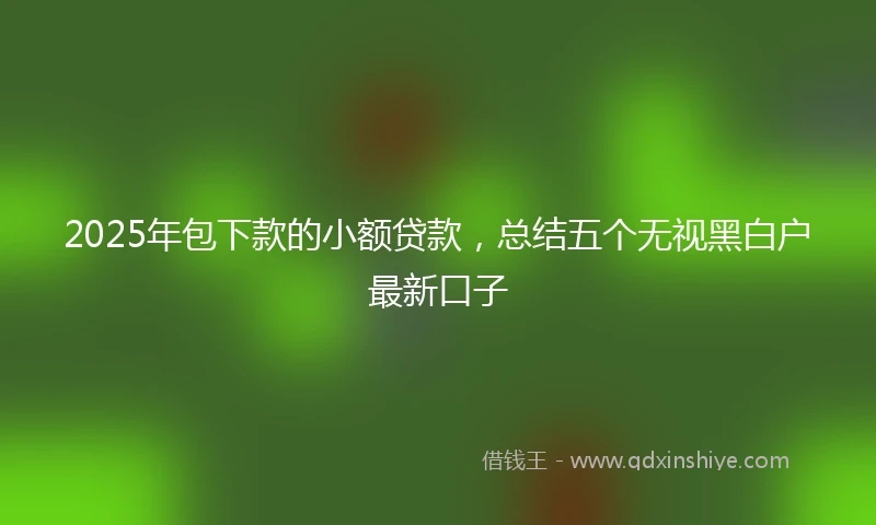 2025年包下款的小额贷款，总结五个无视黑白户最新口子