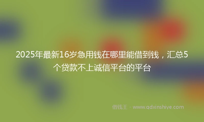2025年最新16岁急用钱在哪里能借到钱，汇总5个贷款不上诚信平台的平台