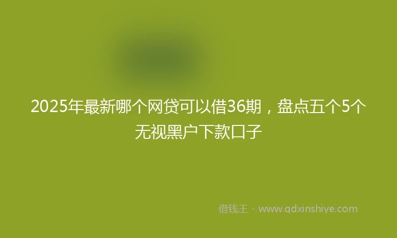 2025年最新哪个网贷可以借36期，盘点五个5个无视黑户下款口子