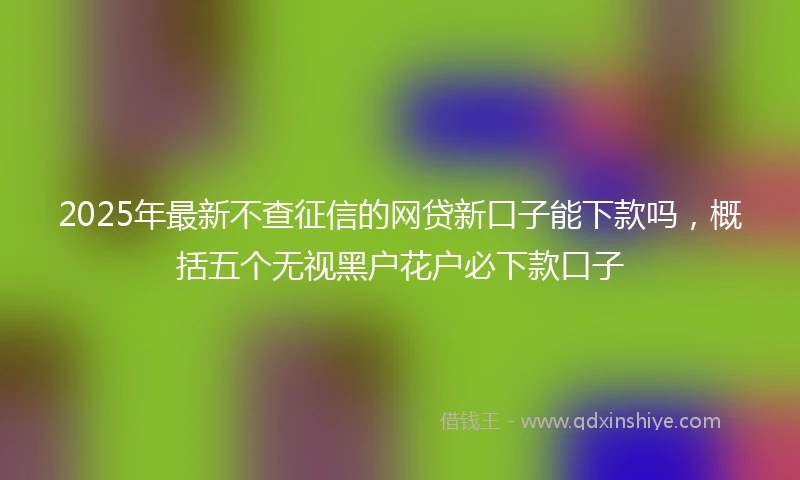2025年最新不查征信的网贷新口子能下款吗，概括五个无视黑户花户必下款口子