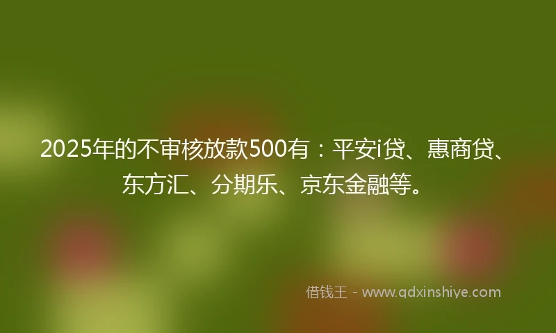2025年的不审核放款500有：平安i贷、惠商贷、东方汇、分期乐、京东金融等。