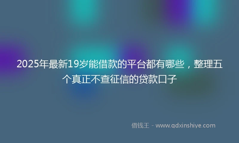 2025年最新19岁能借款的平台都有哪些，整理五个真正不查征信的贷款口子