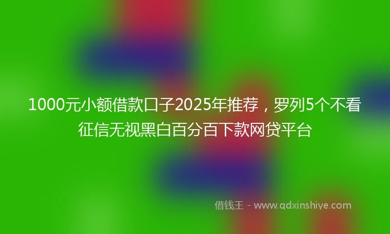 1000元小额借款口子2025年推荐，罗列5个不看征信无视黑白百分百下款网贷平台