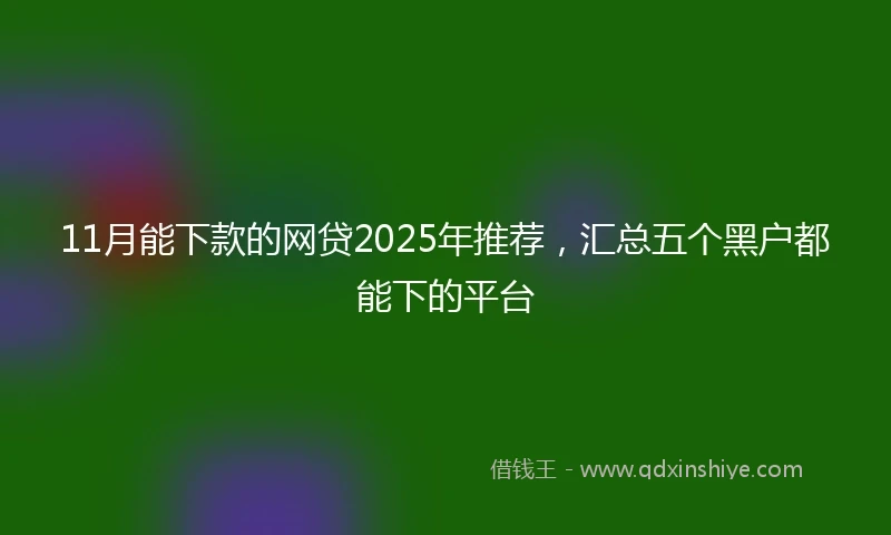 11月能下款的网贷2025年推荐，汇总五个黑户都能下的平台