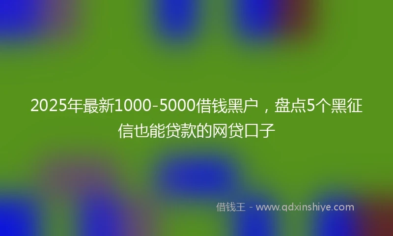 2025年最新1000-5000借钱黑户，盘点5个黑征信也能贷款的网贷口子
