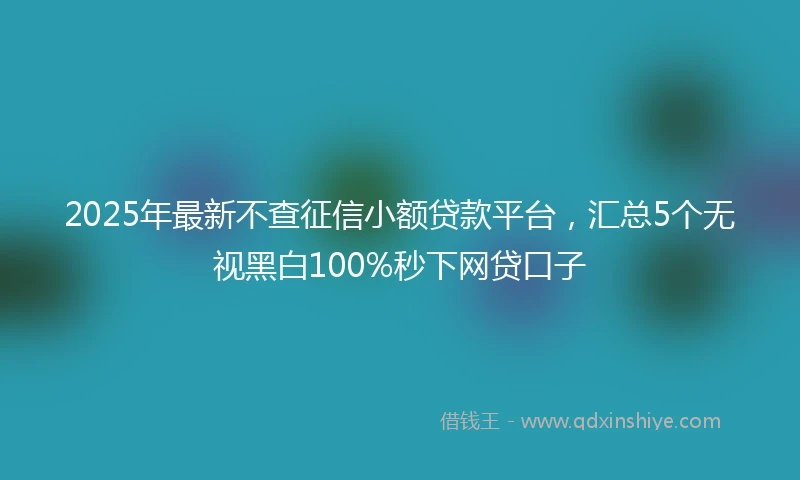 2025年最新不查征信小额贷款平台，汇总5个无视黑白100%秒下网贷口子