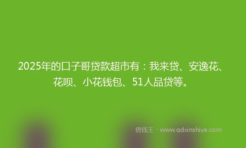 2025年的口子哥贷款超市有：我来贷、安逸花、花呗、小花钱包、51人品贷等。