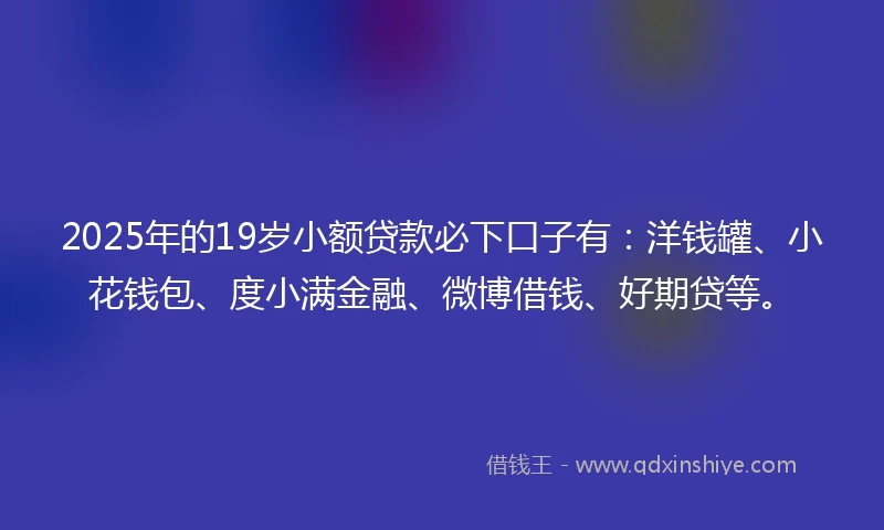 2025年的19岁小额贷款必下口子有：洋钱罐、小花钱包、度小满金融、微博借钱、好期贷等。