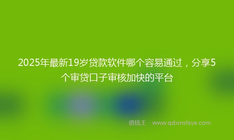 2025年最新19岁贷款软件哪个容易通过，分享5个审贷口子审核加快的平台