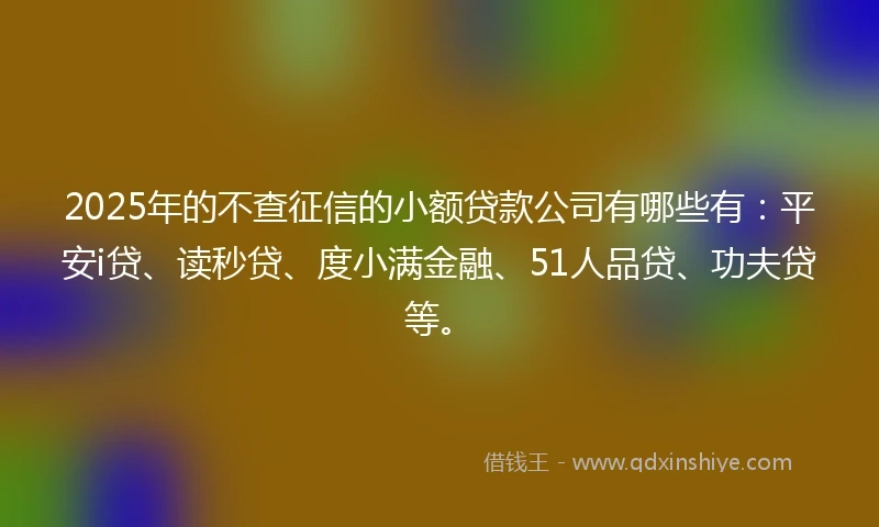 2025年的不查征信的小额贷款公司有哪些有：平安i贷、读秒贷、度小满金融、51人品贷、功夫贷等。