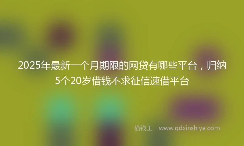 2025年最新一个月期限的网贷有哪些平台，归纳5个20岁借钱不求征信速借平台