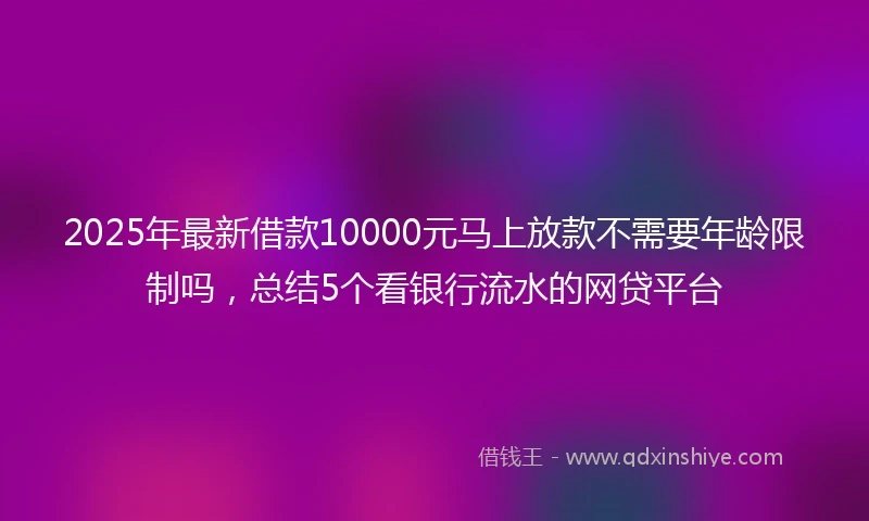2025年最新借款10000元马上放款不需要年龄限制吗，总结5个看银行流水的网贷平台