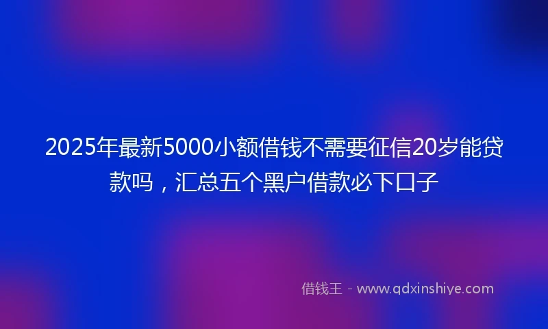 2025年最新5000小额借钱不需要征信20岁能贷款吗，汇总五个黑户借款必下口子
