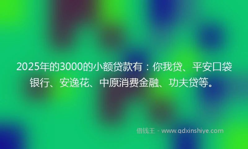 2025年的3000的小额贷款有：你我贷、平安口袋银行、安逸花、中原消费金融、功夫贷等。