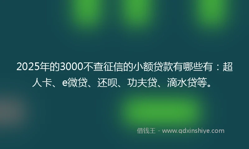 2025年的3000不查征信的小额贷款有哪些有：超人卡、e微贷、还呗、功夫贷、滴水贷等。