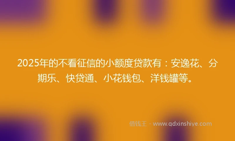 2025年的不看征信的小额度贷款有：安逸花、分期乐、快贷通、小花钱包、洋钱罐等。
