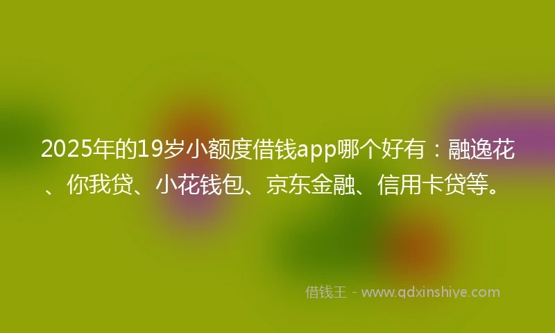 2025年的19岁小额度借钱app哪个好有：融逸花、你我贷、小花钱包、京东金融、信用卡贷等。