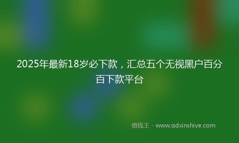 2025年最新18岁必下款，汇总五个无视黑户百分百下款平台