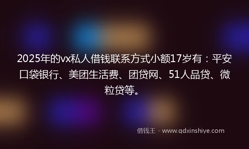 2025年的vx私人借钱联系方式小额17岁有：平安口袋银行、美团生活费、团贷网、51人品贷、微粒贷等。