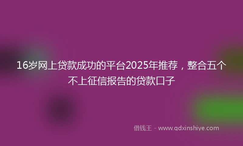 16岁网上贷款成功的平台2025年推荐，整合五个不上征信报告的贷款口子
