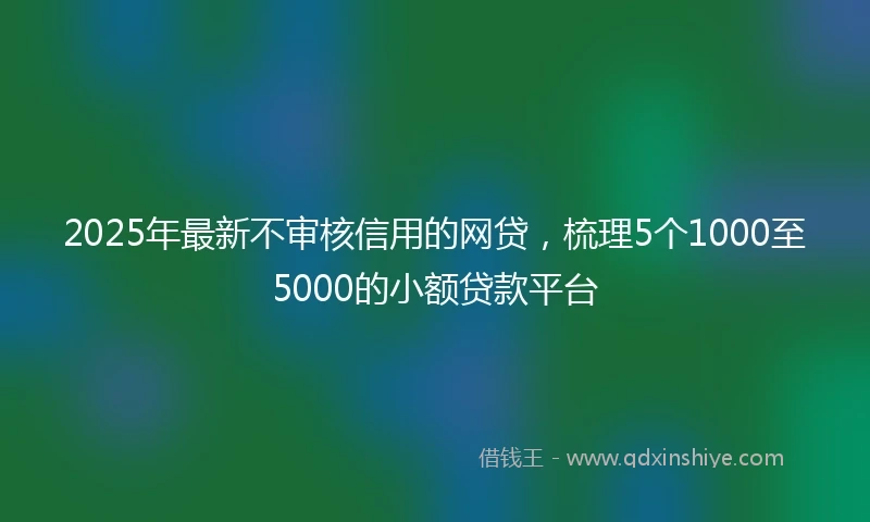 2025年最新不审核信用的网贷，梳理5个1000至5000的小额贷款平台