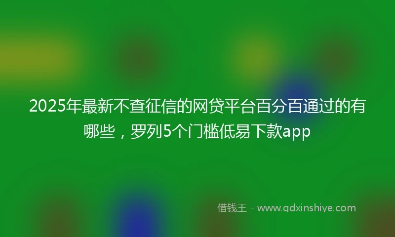 2025年最新不查征信的网贷平台百分百通过的有哪些，罗列5个门槛低易下款app