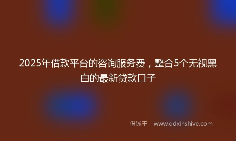 2025年借款平台的咨询服务费，整合5个无视黑白的最新贷款口子