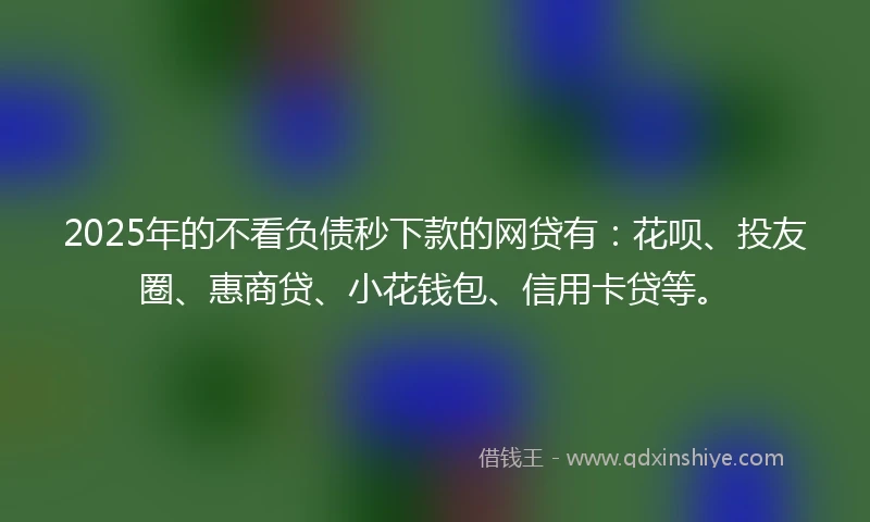 2025年的不看负债秒下款的网贷有：花呗、投友圈、惠商贷、小花钱包、信用卡贷等。