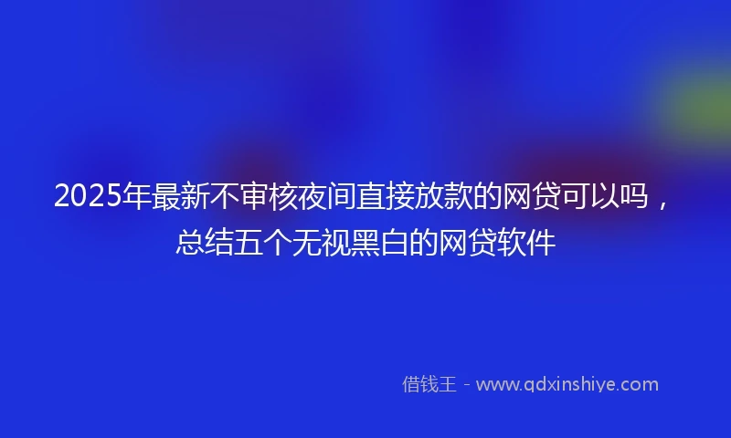 2025年最新不审核夜间直接放款的网贷可以吗，总结五个无视黑白的网贷软件