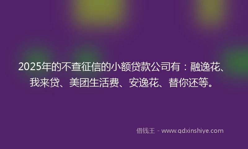 2025年的不查征信的小额贷款公司有：融逸花、我来贷、美团生活费、安逸花、替你还等。