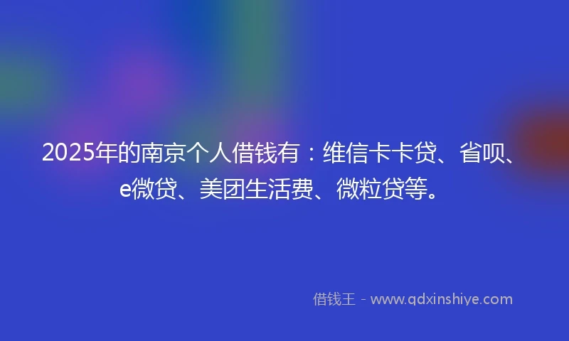 2025年的南京个人借钱有：维信卡卡贷、省呗、e微贷、美团生活费、微粒贷等。