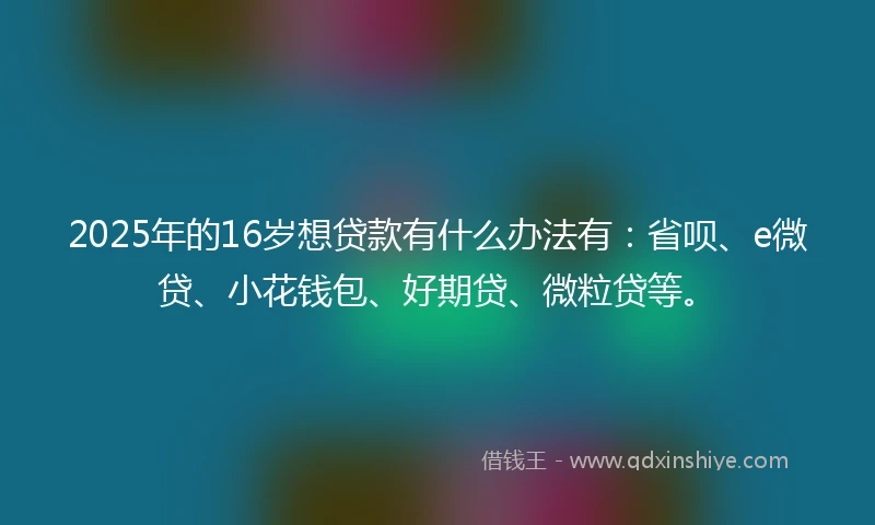 2025年的16岁想贷款有什么办法有：省呗、e微贷、小花钱包、好期贷、微粒贷等。