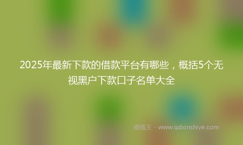 2025年最新下款的借款平台有哪些，概括5个无视黑户下款口子名单大全