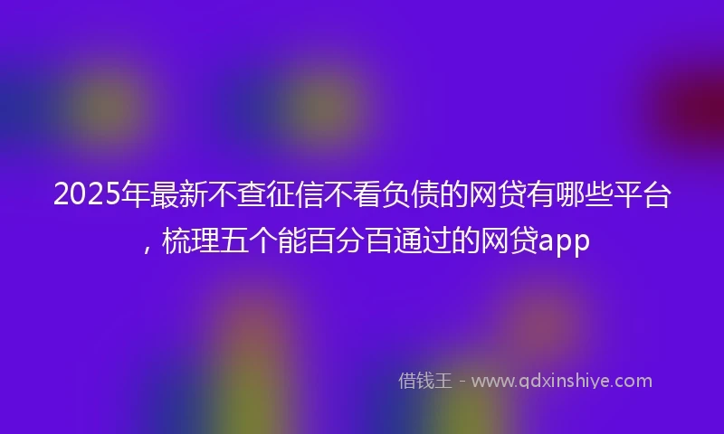 2025年最新不查征信不看负债的网贷有哪些平台，梳理五个能百分百通过的网贷app