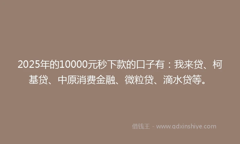 2025年的10000元秒下款的口子有：我来贷、柯基贷、中原消费金融、微粒贷、滴水贷等。
