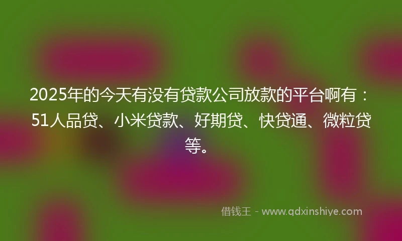 2025年的今天有没有贷款公司放款的平台啊有：51人品贷、小米贷款、好期贷、快贷通、微粒贷等。