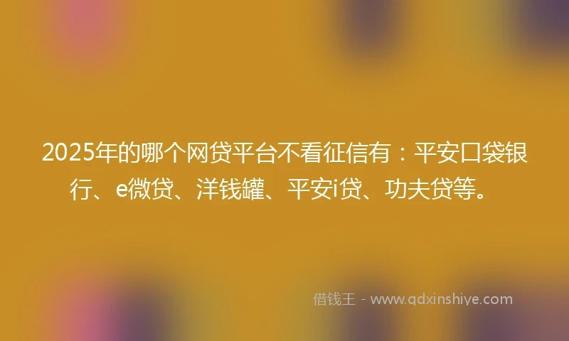 2025年的哪个网贷平台不看征信有：平安口袋银行、e微贷、洋钱罐、平安i贷、功夫贷等。