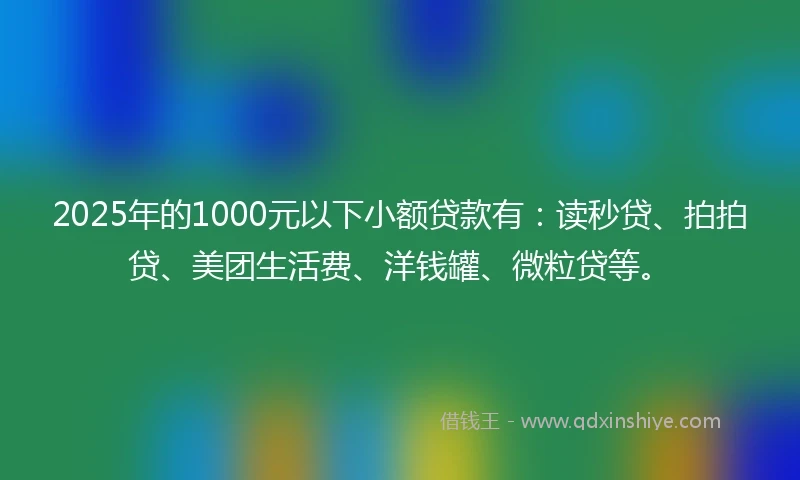 2025年的1000元以下小额贷款有：读秒贷、拍拍贷、美团生活费、洋钱罐、微粒贷等。