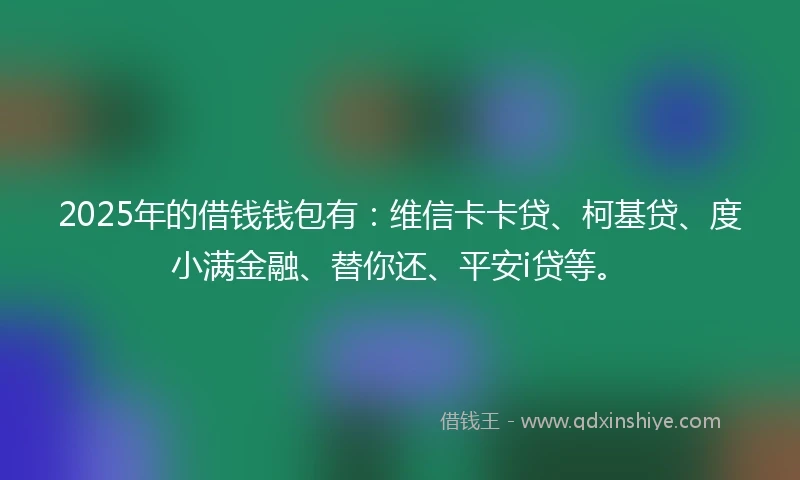 2025年的借钱钱包有：维信卡卡贷、柯基贷、度小满金融、替你还、平安i贷等。