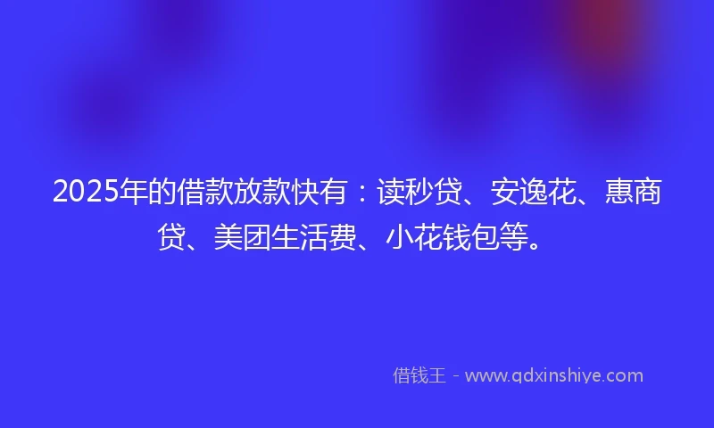 2025年的借款放款快有：读秒贷、安逸花、惠商贷、美团生活费、小花钱包等。