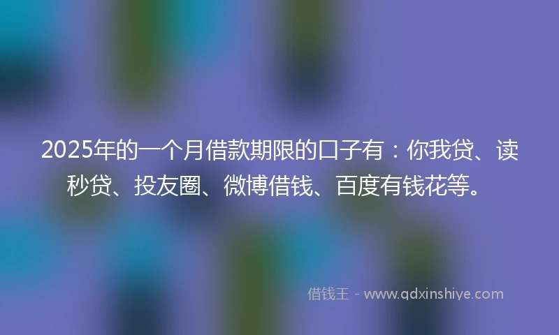 2025年的一个月借款期限的口子有：你我贷、读秒贷、投友圈、微博借钱、百度有钱花等。