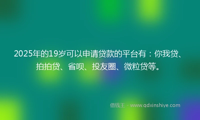2025年的19岁可以申请贷款的平台有：你我贷、拍拍贷、省呗、投友圈、微粒贷等。