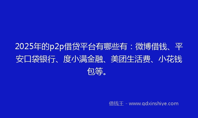 2025年的p2p借贷平台有哪些有：微博借钱、平安口袋银行、度小满金融、美团生活费、小花钱包等。