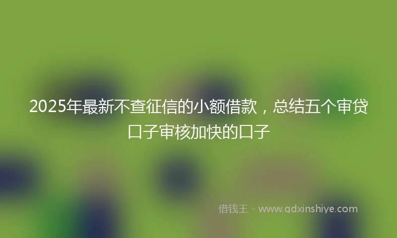 2025年最新不查征信的小额借款，总结五个审贷口子审核加快的口子