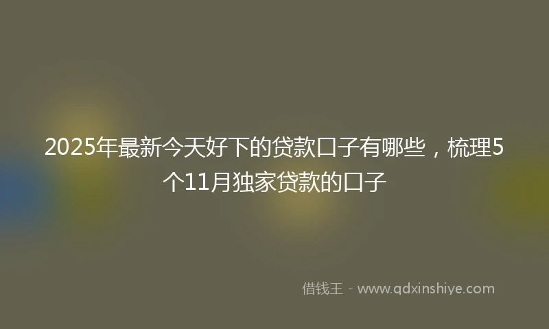2025年最新今天好下的贷款口子有哪些，梳理5个11月独家贷款的口子