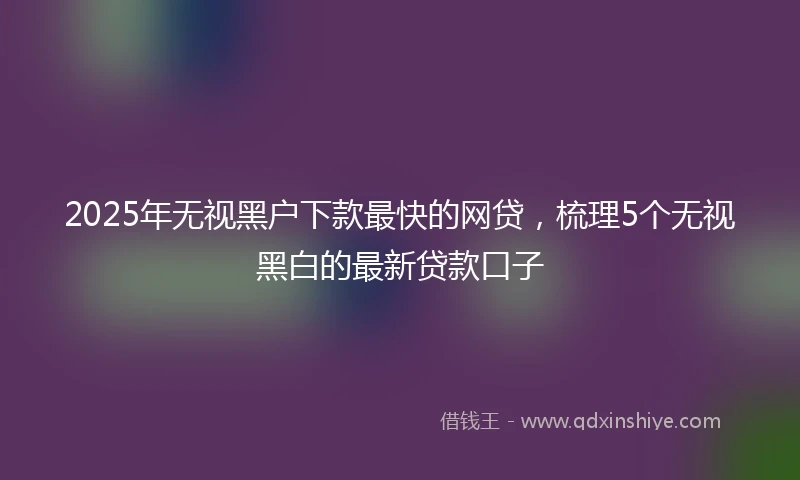 2025年无视黑户下款最快的网贷，梳理5个无视黑白的最新贷款口子
