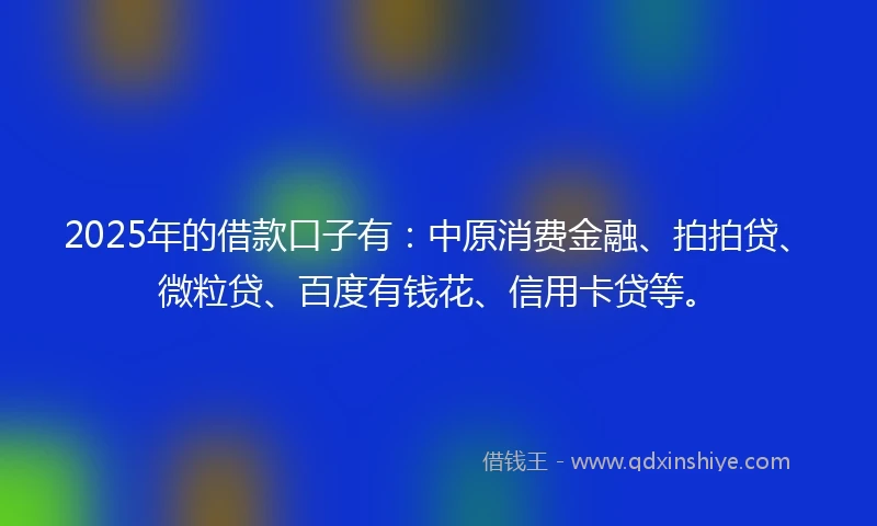 2025年的借款口子有：中原消费金融、拍拍贷、微粒贷、百度有钱花、信用卡贷等。